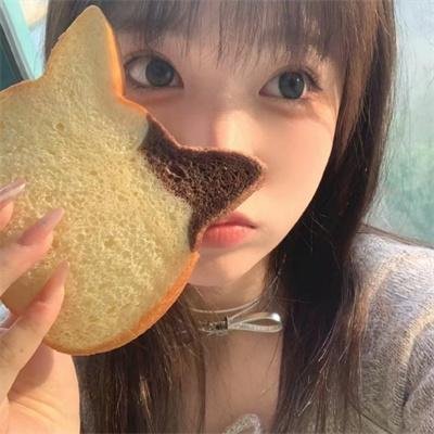 船上的猫